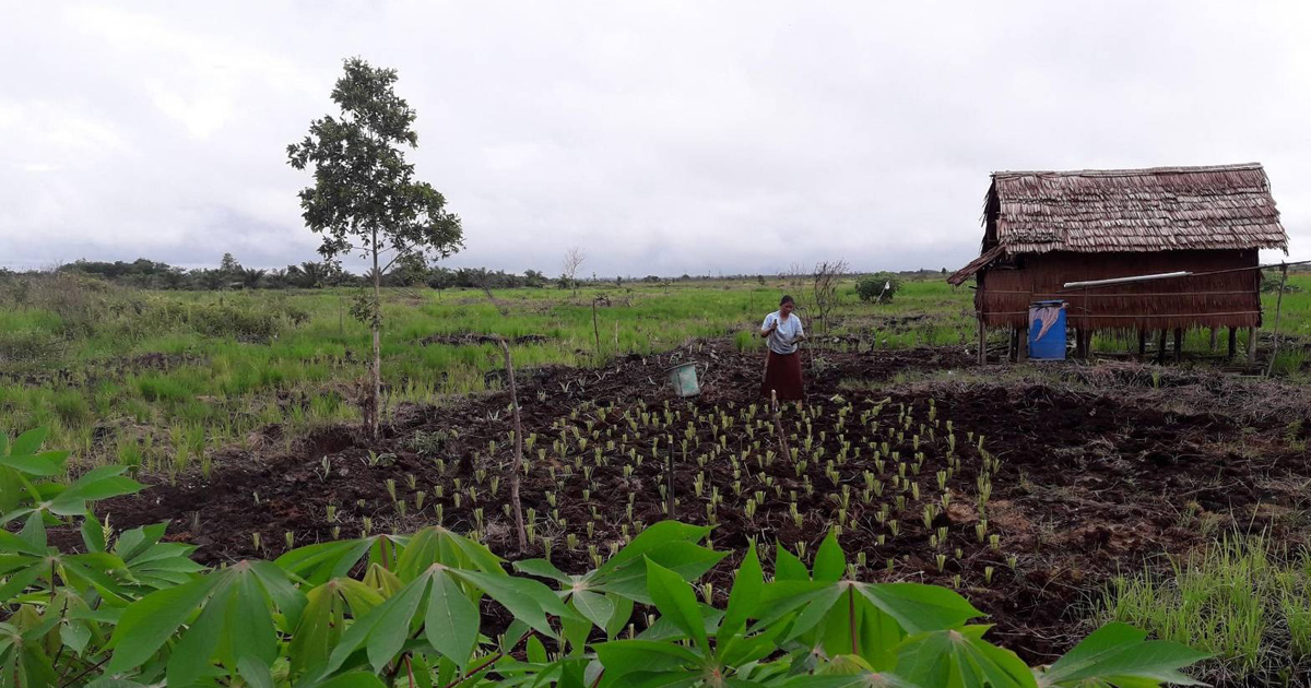 New Genesys Page (2026) - Rubicon Carbon